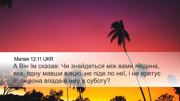 Матвія 12:11 UKR Bible Verse Image