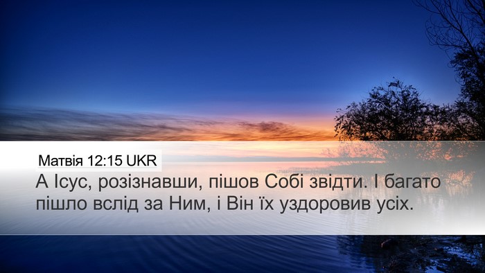 Матвія 12:15 UKR Bible Verse Image