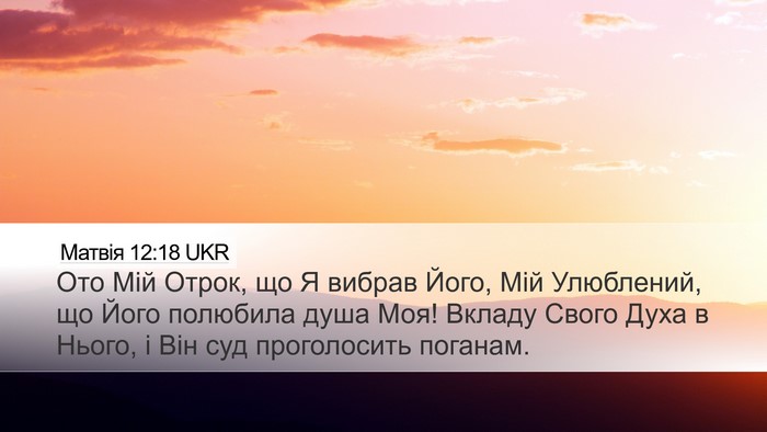Матвія 12:18 UKR Bible Verse Image