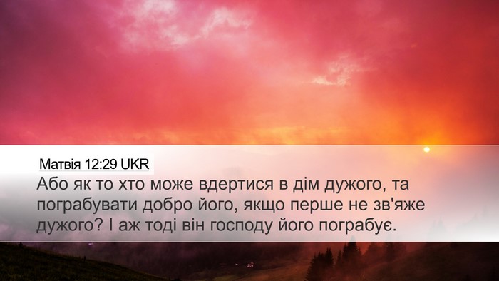 Матвія 12:29 UKR Bible Verse Image
