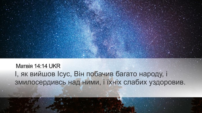 Матвія 14:14 UKR Bible Verse Image