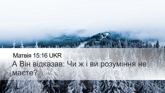 Матвія 15:16 UKR Bible Verse Image