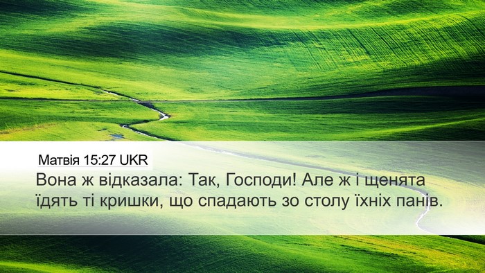 Матвія 15:27 UKR Bible Verse Image