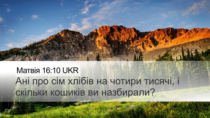 Матвія 16:10 UKR Desktop Wallpaper - Ані про сім хлібів на - Desktop Bible Verse Wallpaper