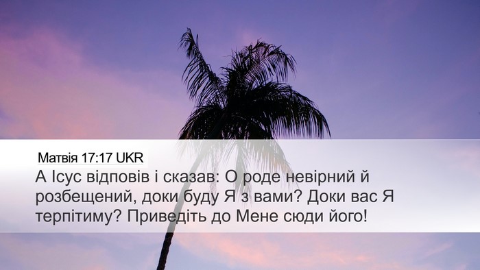 Матвія 17:17 UKR Bible Verse Image