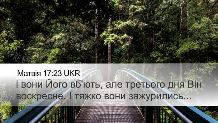 Матвія 17:23 UKR Bible Verse Image