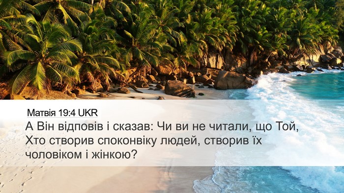 Матвія 19:4 UKR Bible Verse Image