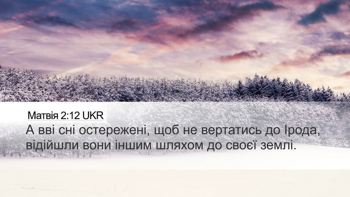 Матвія 2:12 UKR Bible Verse Image