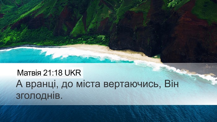 Матвія 21:18 UKR Bible Verse Image