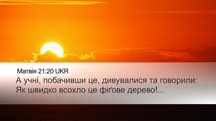 Матвія 21:20 UKR Desktop Wallpaper - А учні, побачивши це, - Desktop Bible Verse Wallpaper