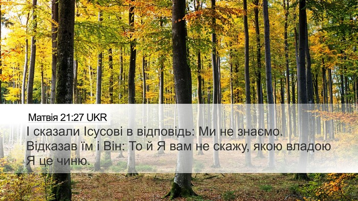 Матвія 21:27 UKR Bible Verse Image