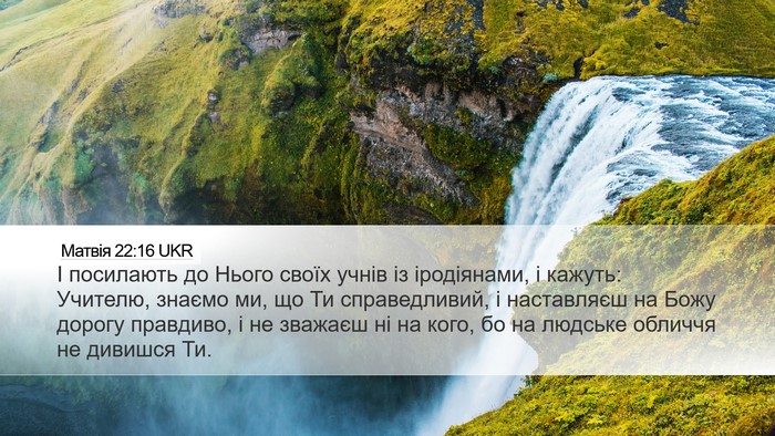 Матвія 22:16 UKR Bible Verse Image