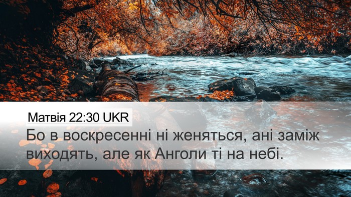 Матвія 22:30 UKR Bible Verse Image