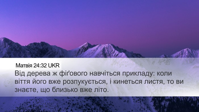 Матвія 24:32 UKR Bible Verse Image