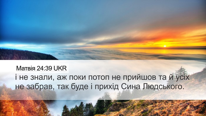 Матвія 24:39 UKR Bible Verse Image