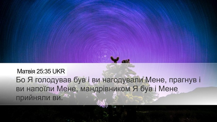 Матвія 25:35 UKR Bible Verse Image