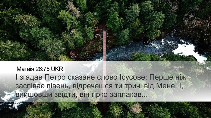 Матвія 26:75 UKR Bible Verse Image