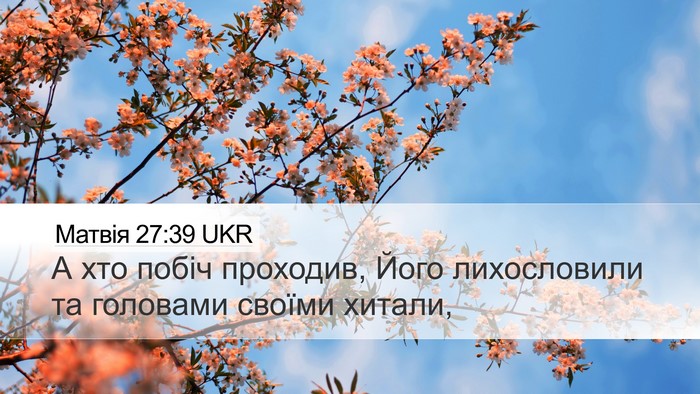 Матвія 27:39 UKR Bible Verse Image
