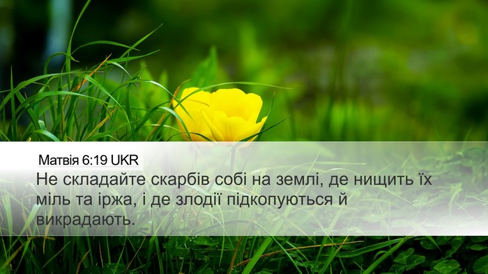 Матвія 6:19 UKR Bible Verse Image