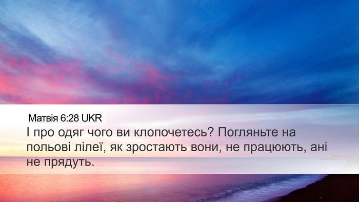 Матвія 6:28 UKR Bible Verse Image
