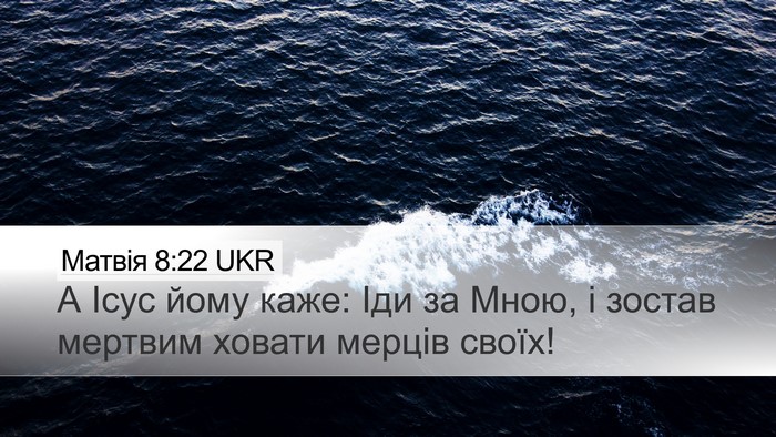 Матвія 8:22 UKR Desktop Wallpaper - А Ісус йому каже: Іди за - Desktop Bible Verse Wallpaper