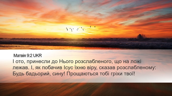 Матвія 9:2 UKR Desktop Wallpaper - І ото, принесли до Нього - Desktop Bible Verse Wallpaper