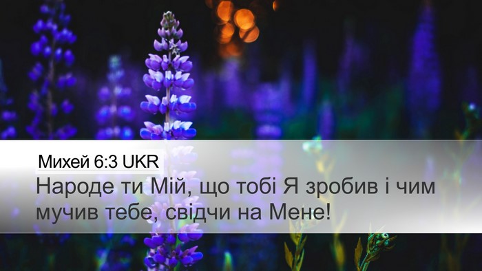 Михей 6:3 UKR Bible Verse Image
