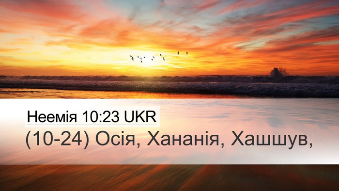 Неемія 10:23 UKR Bible Verse Image