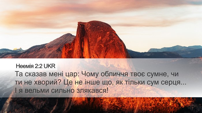 Неемія 2:2 UKR Bible Verse Image
