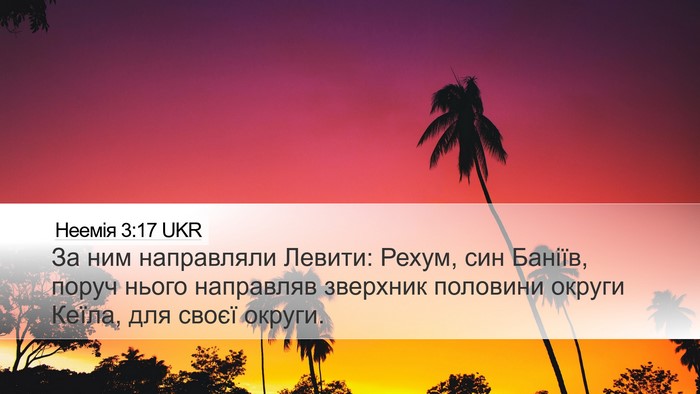 Неемія 3:17 UKR Bible Verse Image