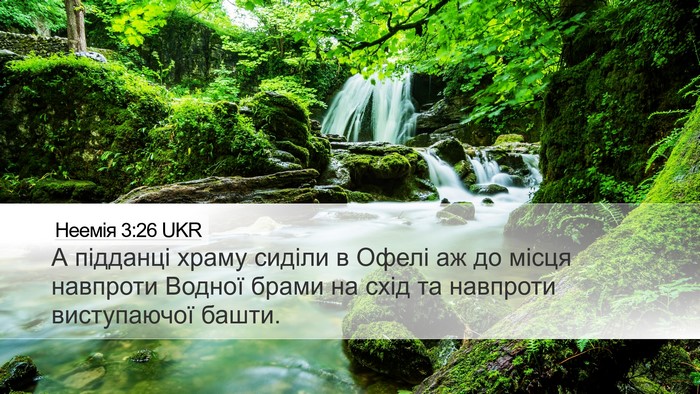 Неемія 3:26 UKR Bible Verse Image