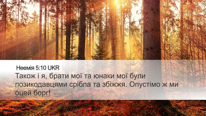 Неемія 5:10 UKR Bible Verse Image