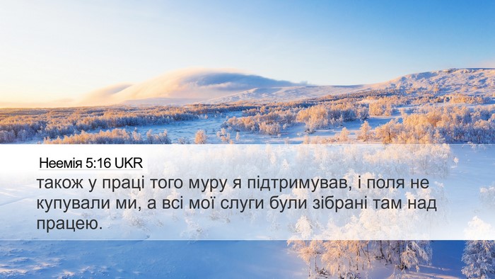 Неемія 5:16 UKR Bible Verse Image