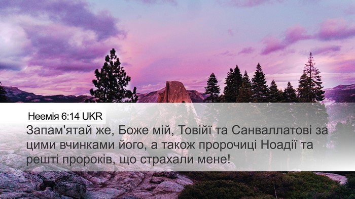 Неемія 6:14 UKR Bible Verse Image