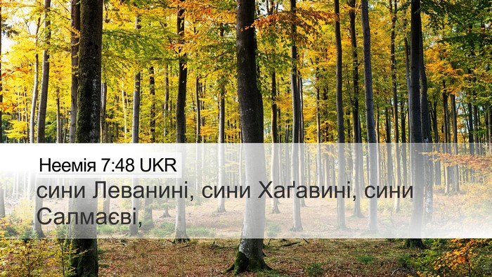 Неемія 7:48 UKR Desktop Wallpaper - сини Леванині, сини - Desktop Bible Verse Wallpaper