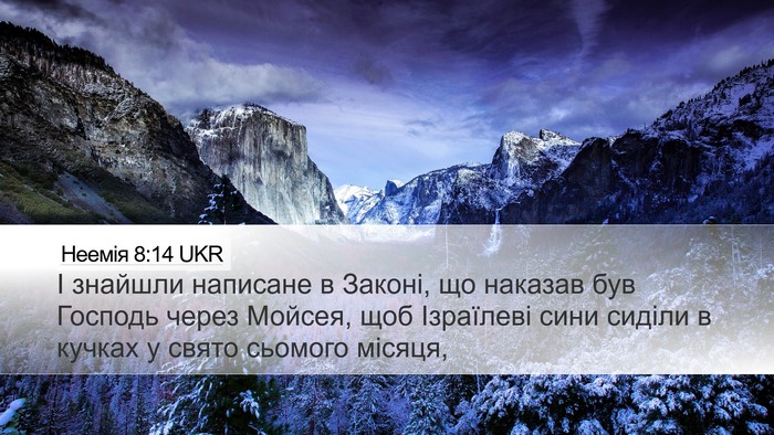 Неемія 8:14 UKR Bible Verse Image