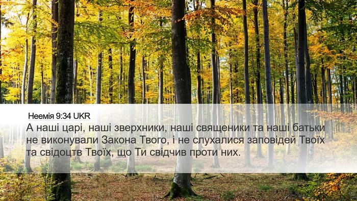 Неемія 9:34 UKR Bible Verse Image
