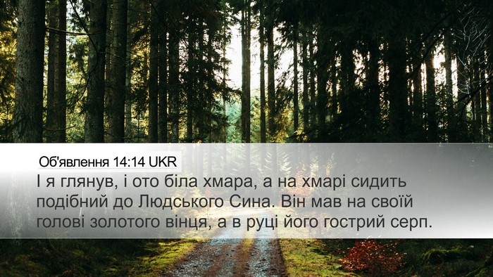 Об'явлення 14:14 UKR Bible Verse Image