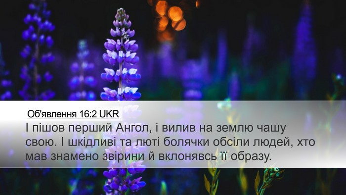 Об'явлення 16:2 UKR Bible Verse Image