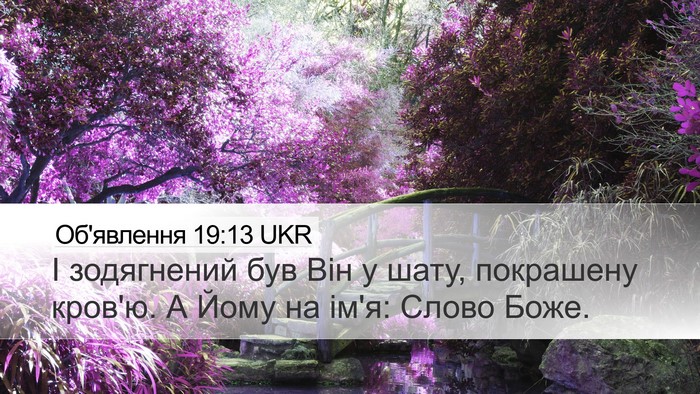 Об'явлення 19:13 UKR Bible Verse Image