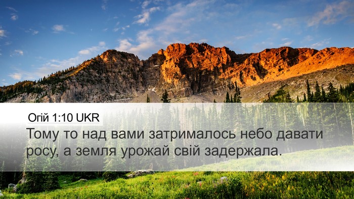Огій 1:10 UKR Bible Verse Image