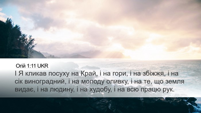 Огій 1:11 UKR Bible Verse Image