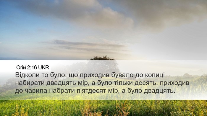 Огій 2:16 UKR Bible Verse Image