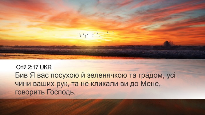 Огій 2:17 UKR Bible Verse Image