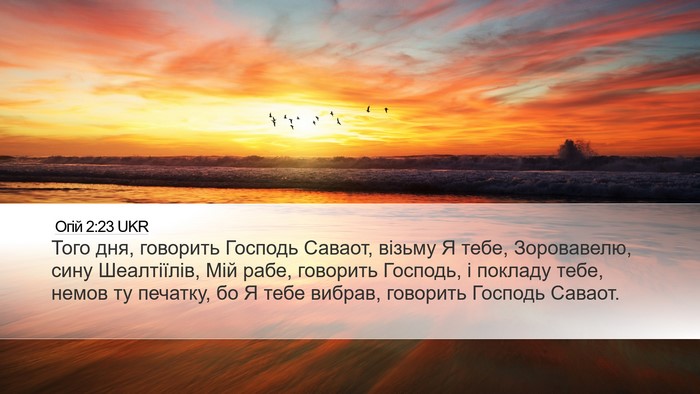 Огій 2:23 UKR Bible Verse Image