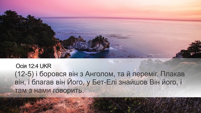 Осія 12:4 UKR Bible Verse Image