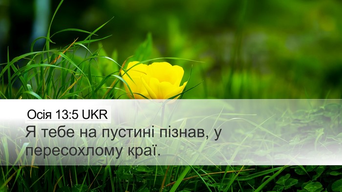 Осія 13:5 UKR Bible Verse Image