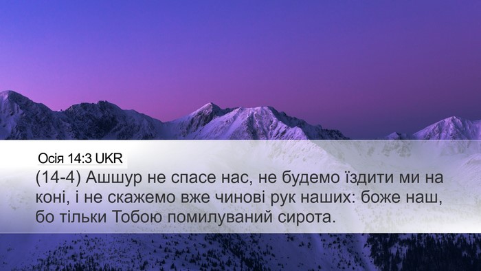 Осія 14:3 UKR Bible Verse Image