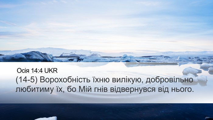 Осія 14:4 UKR Bible Verse Image