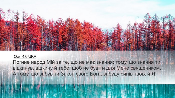 Осія 4:6 UKR Bible Verse Image